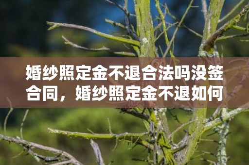 婚纱照定金不退合法吗没签合同，婚纱照定金不退如何处理