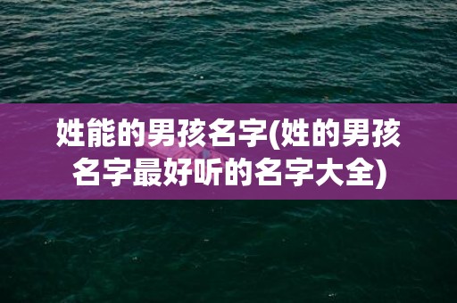 姓能的男孩名字(姓的男孩名字最好听的名字大全)