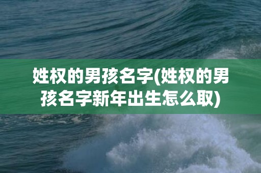 姓权的男孩名字(姓权的男孩名字新年出生怎么取)