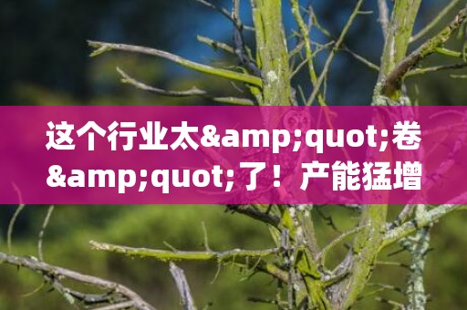 这个行业太&quot;卷&quot;了！产能猛增，进口变出口！如何抵御经营风险？新工具来了
