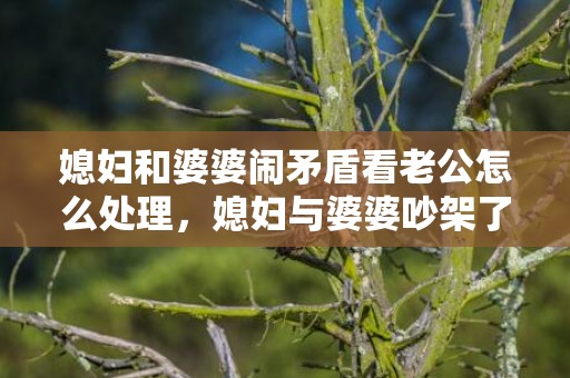 媳妇和婆婆闹矛盾看老公怎么处理，媳妇与婆婆吵架了怎么办