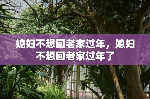 媳妇不想回老家过年，媳妇不想回老家过年了