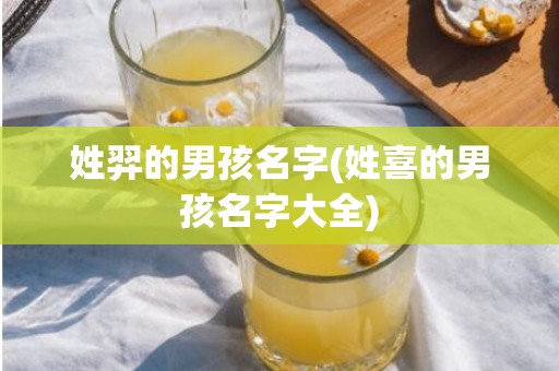 姓羿的男孩名字(姓喜的男孩名字大全)