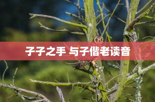 子子之手 与子偕老读音