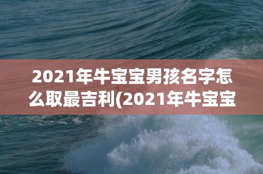 2021年牛宝宝男孩名字怎么取最吉利(2021年牛宝宝五行属什么)