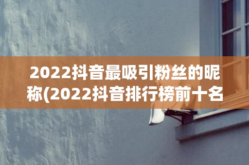 2022抖音最吸引粉丝的昵称(2022抖音排行榜前十名)
