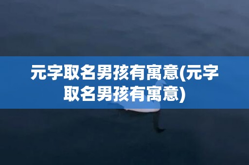 元字取名男孩有寓意(元字取名男孩有寓意)