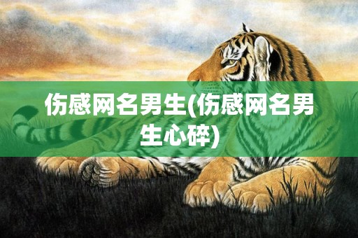 伤感网名男生(伤感网名男生心碎)