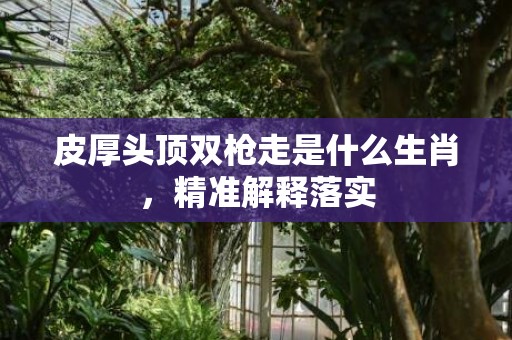 皮厚头顶双枪走是什么生肖，精准解释落实