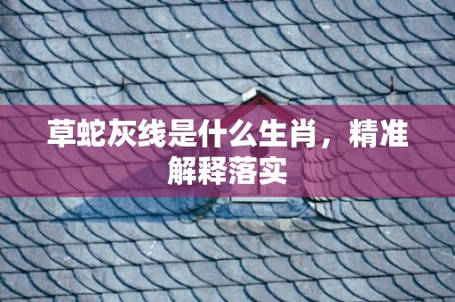草蛇灰线是什么生肖，精准解释落实