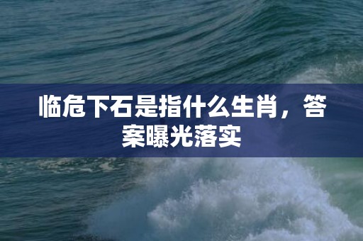 临危下石是指什么生肖，答案曝光落实