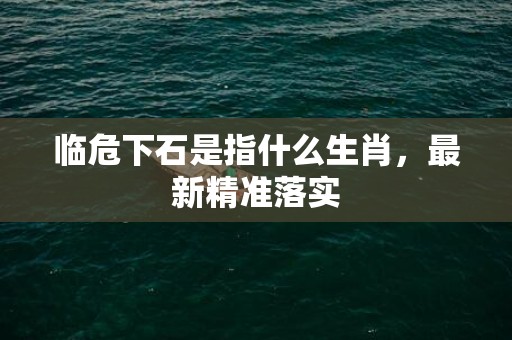 临危下石是指什么生肖，最新精准落实