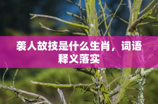 袭人故技是什么生肖，词语释义落实