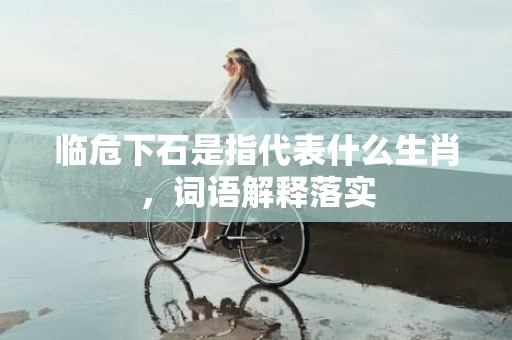 临危下石是指代表什么生肖，词语解释落实