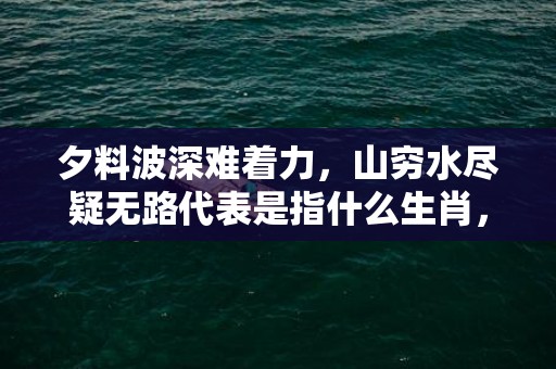 夕料波深难着力，山穷水尽疑无路代表是指什么生肖，精准词意落实