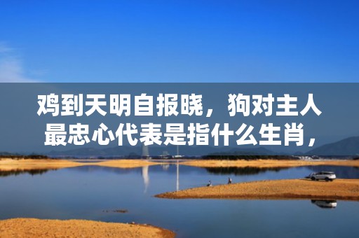 鸡到天明自报晓，狗对主人最忠心代表是指什么生肖，精准词语落实