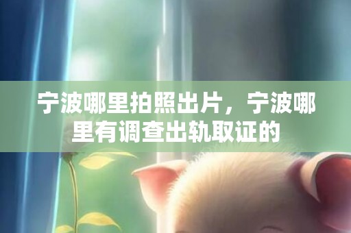 宁波哪里拍照出片，宁波哪里有调查出轨取证的