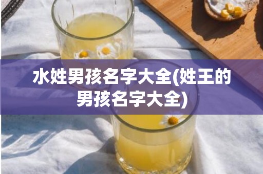 水姓男孩名字大全(姓王的男孩名字大全)