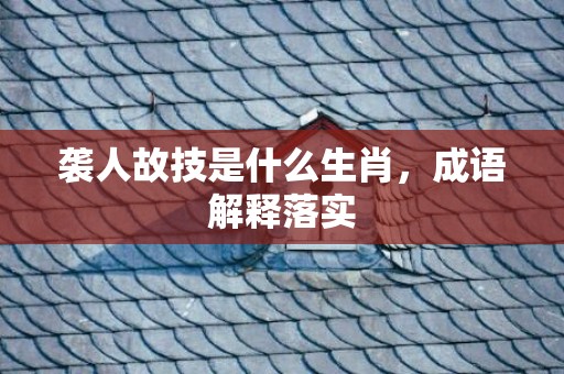 袭人故技是什么生肖，成语解释落实