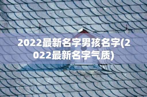 2022最新名字男孩名字(2022最新名字气质)