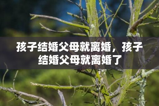 孩子结婚父母就离婚，孩子结婚父母就离婚了