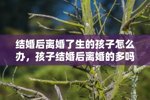 结婚后离婚了生的孩子怎么办，孩子结婚后离婚的多吗