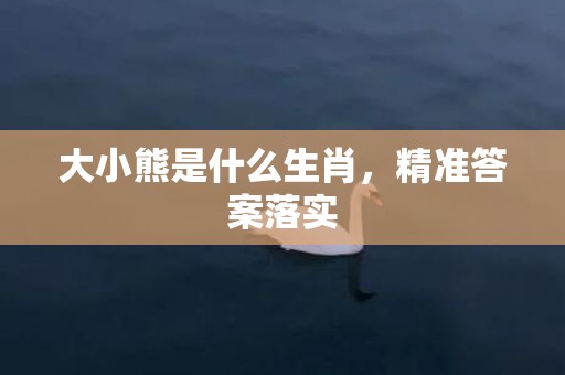 大小熊是什么生肖，精准答案落实