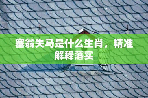 塞翁失马是什么生肖，精准解释落实