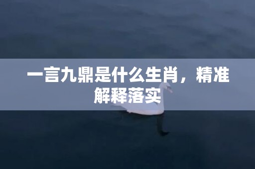 一言九鼎是什么生肖，精准解释落实