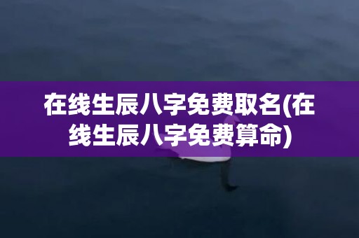 在线生辰八字免费取名(在线生辰八字免费算命)