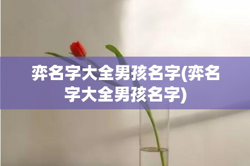 弈名字大全男孩名字(弈名字大全男孩名字)