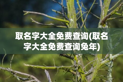 取名字大全免费查询(取名字大全免费查询兔年)