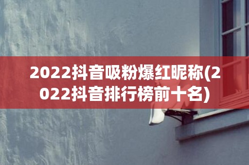 2022抖音吸粉爆红昵称(2022抖音排行榜前十名)