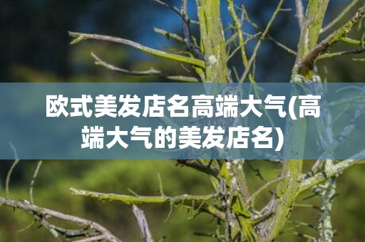 欧式美发店名高端大气(高端大气的美发店名)