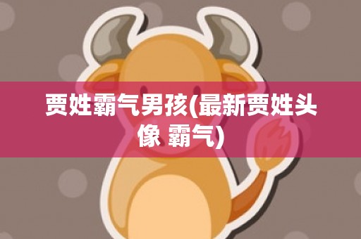 贾姓霸气男孩(最新贾姓头像 霸气)