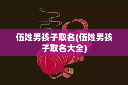伍姓男孩子取名(伍姓男孩子取名大全)