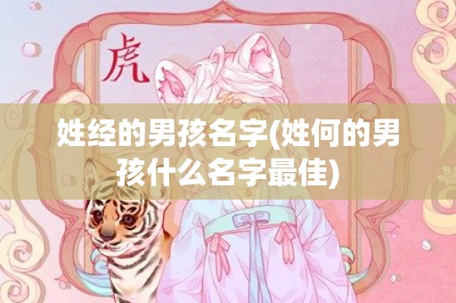 姓经的男孩名字(姓何的男孩什么名字最佳)