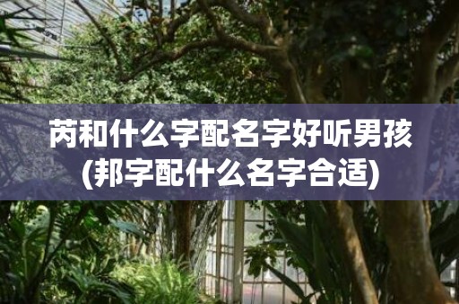 芮和什么字配名字好听男孩(邦字配什么名字合适)