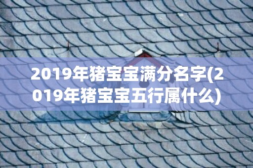 2019年猪宝宝满分名字(2019年猪宝宝五行属什么)