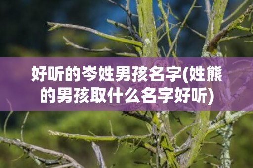 好听的岑姓男孩名字(姓熊的男孩取什么名字好听)