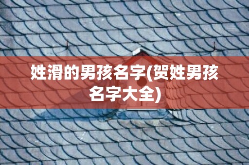 姓滑的男孩名字(贺姓男孩名字大全)