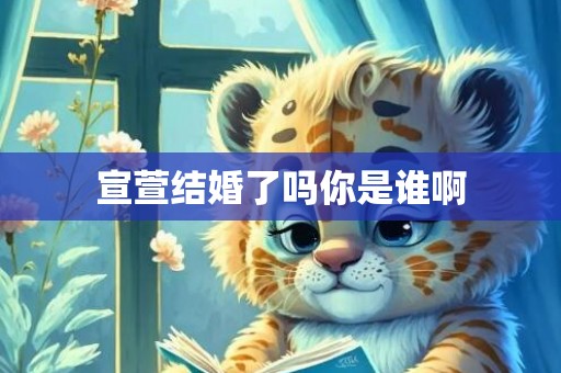 宣萱结婚了吗你是谁啊