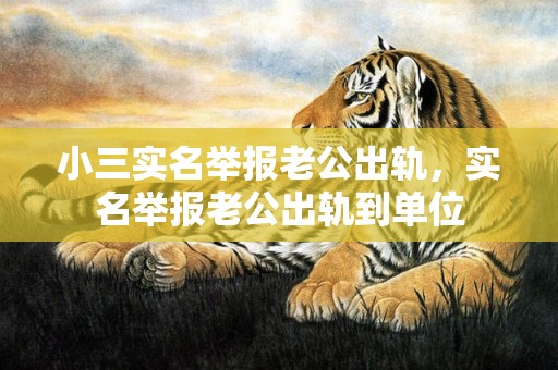 小三实名举报老公出轨，实名举报老公出轨到单位