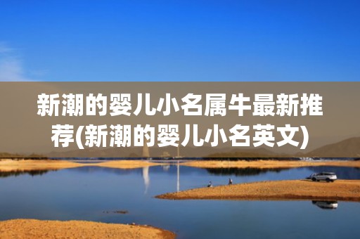 新潮的婴儿小名属牛最新推荐(新潮的婴儿小名英文)