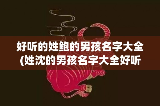 好听的姓鲍的男孩名字大全(姓沈的男孩名字大全好听)