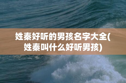 姓秦好听的男孩名字大全(姓秦叫什么好听男孩)