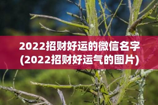2022招财好运的微信名字(2022招财好运气的图片)