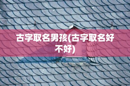 古字取名男孩(古字取名好不好)