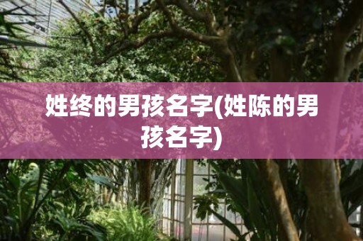 姓终的男孩名字(姓陈的男孩名字)