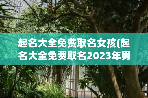 起名大全免费取名女孩(起名大全免费取名2023年男宝宝)